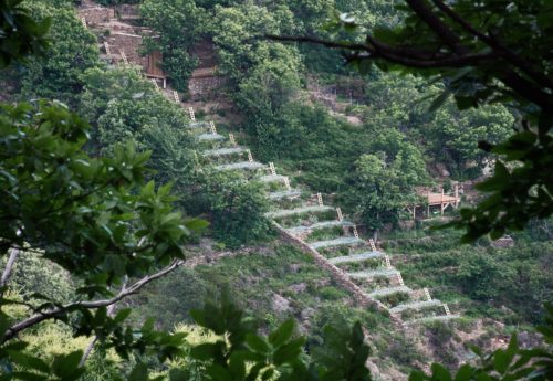 2006-2020 L’échappée, un jardin refuge sur le sentier des Lauzes avec le PNR des Monts d’Ardèche