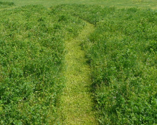 Chemin herbicyclé