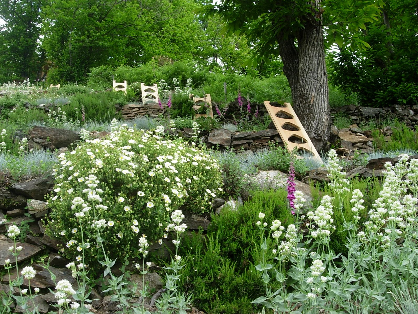 Jardin de l’Echappée, atelier refuge en Ardèche