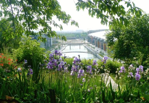 2006-2011 Chroniques de jardinage pour Côté jardin sur  France 3