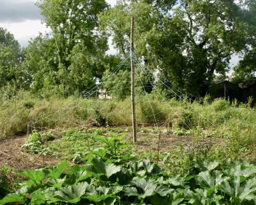 Potager d’Yves Gillen au transformateur de Redon