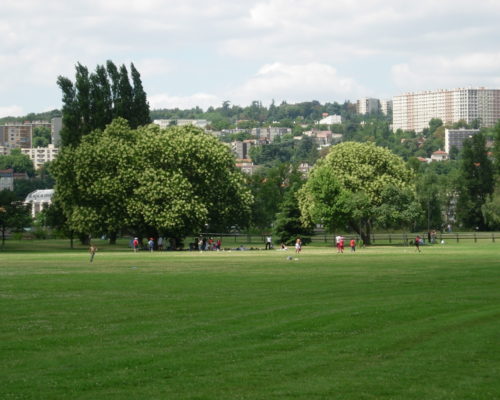 Prairie de jeu du parc de Gerland