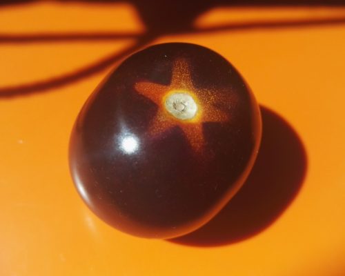 Tomates noires si sucrées
