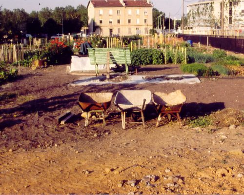 Mon 2éme jardin ouvrier au commencement