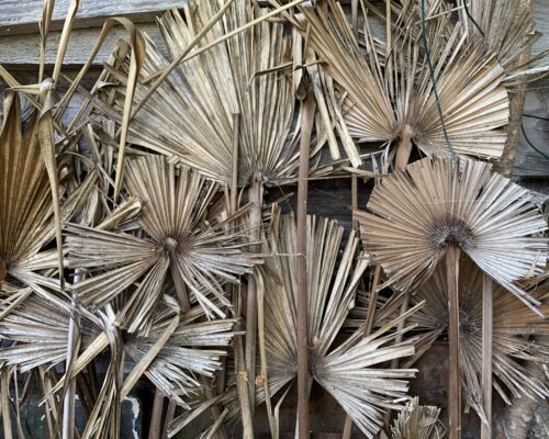 Paillage de palmier