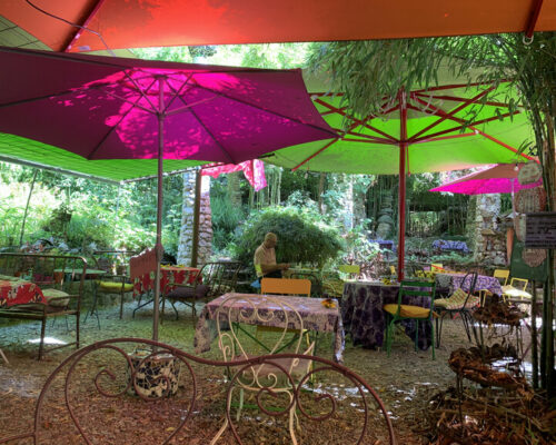 Canicule 2023 au jardin de Sambuc